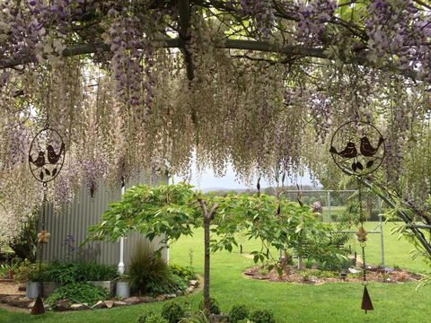 Duffys Country Accommodation - Mackay Tourism 3