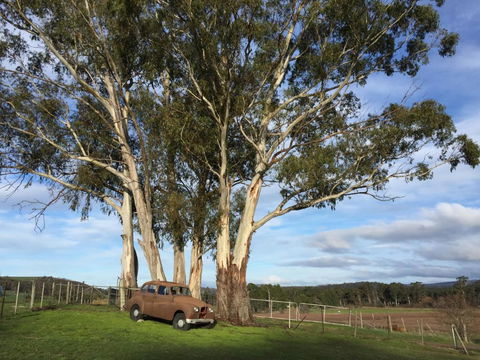Duffys Country Accommodation - Mackay Tourism 2