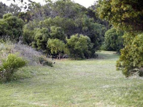Absolute Waterfront Cottage - Mackay Tourism 3