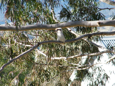 St Peters Fairview - Mackay Tourism 1