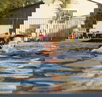 Riverside Cabin Park - Mackay Tourism