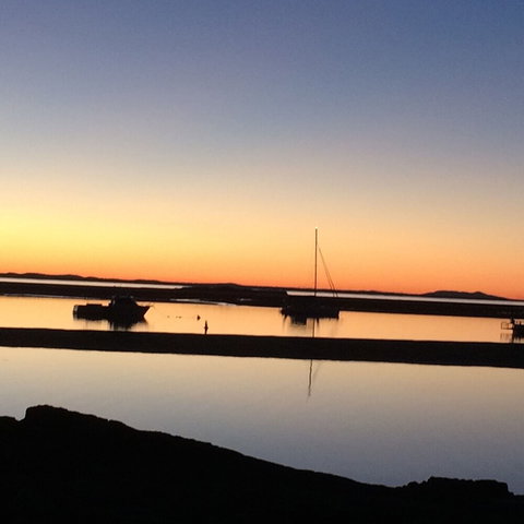 Sunbird Gardens - Mackay Tourism 5