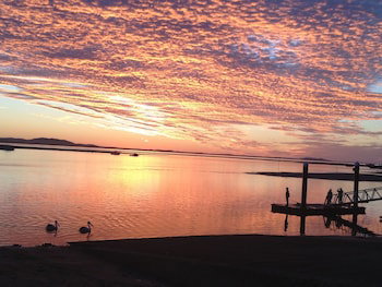 Sunbird Gardens - Mackay Tourism 4