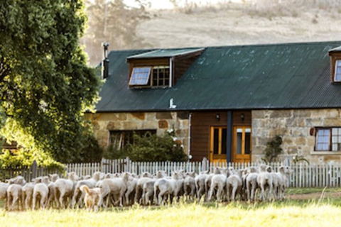 Daisy Bank Cottages - Mackay Tourism 0