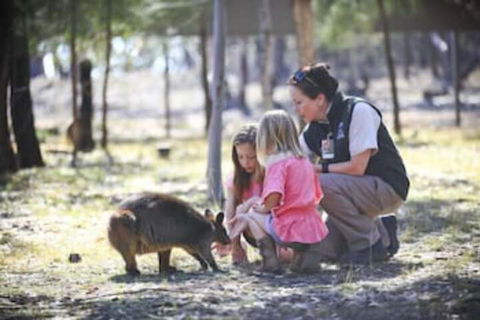 Billabong Camp Taronga Western Plains Zoo - Mackay Tourism 6