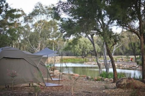 Billabong Camp Taronga Western Plains Zoo - Mackay Tourism 2