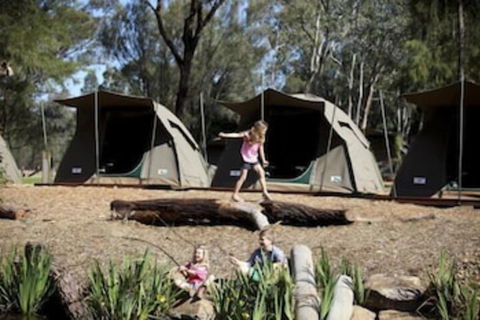 Billabong Camp Taronga Western Plains Zoo - Mackay Tourism 7