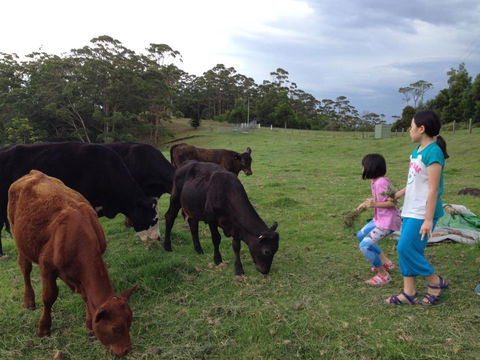 Bellview - Mackay Tourism 1