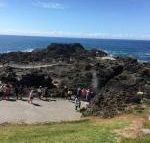Sea Whispers - Mackay Tourism