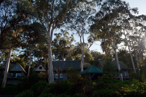 Great Ocean Road Cottages - Mackay Tourism 1