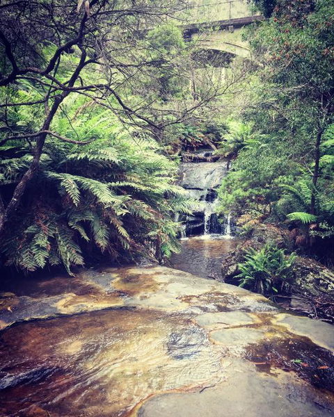 Highland Cottage - Mackay Tourism 2