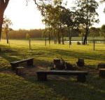 Wallaby Cottage cute Accom in bushland setting - Mackay Tourism