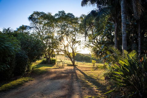 Hillview Cottages - Mackay Tourism 0