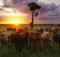 Myella Farm Stay - Mackay Tourism