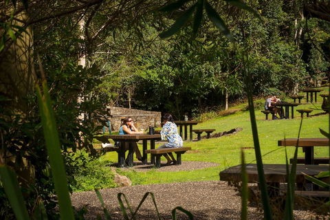 Binna Burra Sky Lodges - Mackay Tourism 4