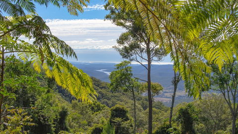 Binna Burra Sky Lodges - Mackay Tourism 6