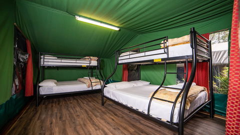 Binna Burra Sky Lodges - Mackay Tourism 5