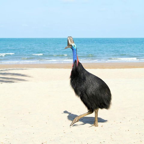 Ocean Serenity - Mackay Tourism 3