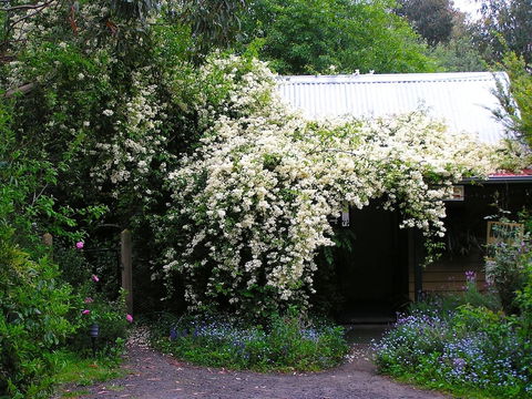 Lemonade Creek Cottages - Mackay Tourism 4