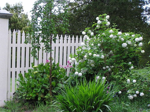Lemonade Creek Cottages - Mackay Tourism 2