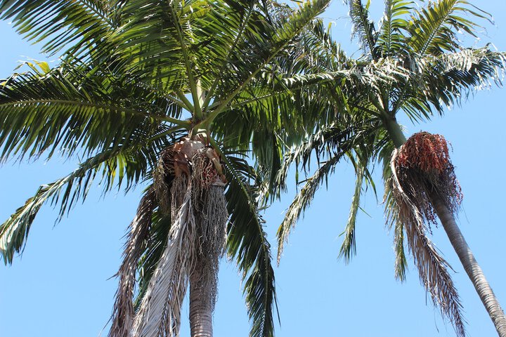 Peacock Creek NSW Mackay Tourism