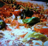 Alfio's Pizzeria - Mackay Tourism