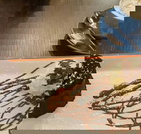 Chocolateria San Churro - Mackay Tourism