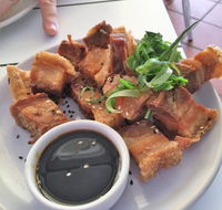 Jellyfish - Mackay Tourism