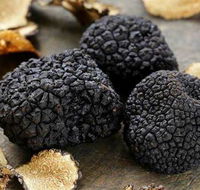 Lord Cardigan - Mackay Tourism