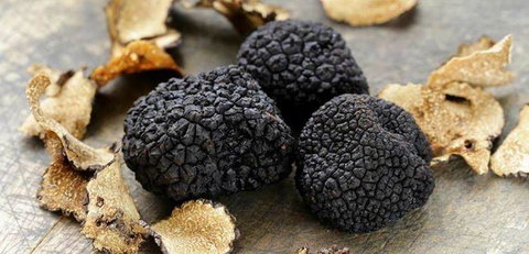 Lord Cardigan - Mackay Tourism 0