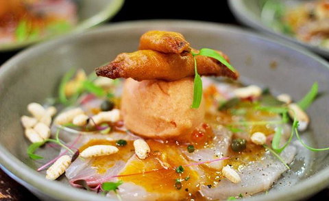 Lord Cardigan - Mackay Tourism 13