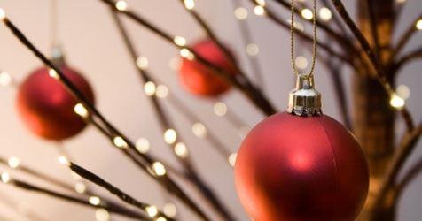 Lord Cardigan - Mackay Tourism 21