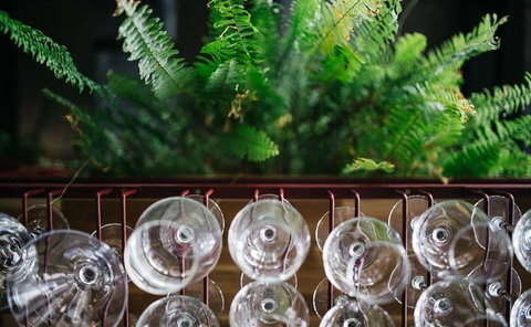 Lord Cardigan - Mackay Tourism 4