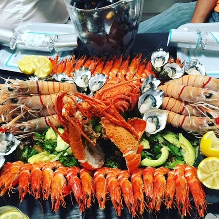 Mohr Fish - Mackay Tourism 0