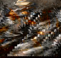 MoVida Next Door - Mackay Tourism