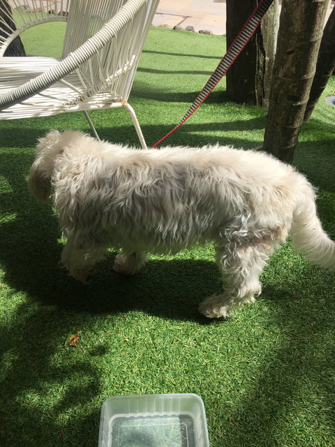 Rococo - Mackay Tourism 6