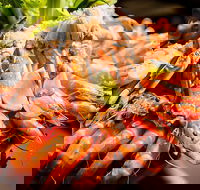 Table 30 - Mackay Tourism