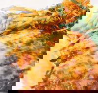 The Water Rat Hotel - Mackay Tourism