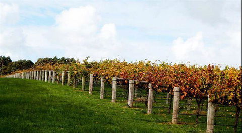 Arimia Restaurant And Winery - Mackay Tourism 10