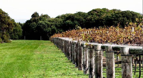 Arimia Restaurant And Winery - Mackay Tourism 5