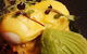 Ticino Pizza - thumb 9