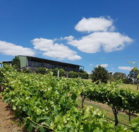 Traralgon Vineyard - Mackay Tourism