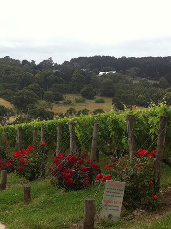 Paringa Estate - Mackay Tourism 0