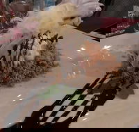 Marrakech Restaurant - Mackay Tourism