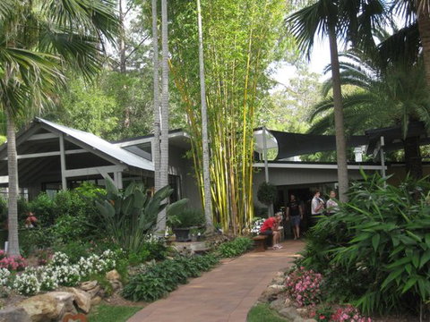 Wild Canary - Mackay Tourism 12