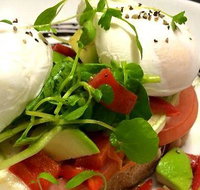 Wild Canary - Mackay Tourism