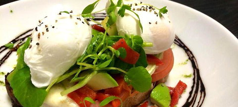 Wild Canary - Mackay Tourism 0