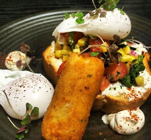 Wild Canary - Mackay Tourism 9