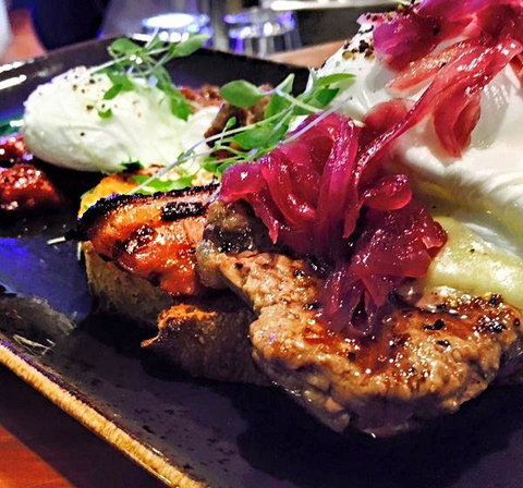 Wild Canary - Mackay Tourism 10