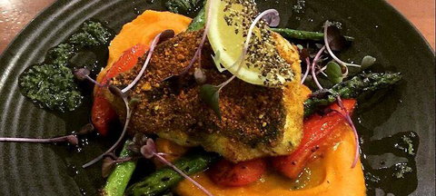 Wild Canary - Mackay Tourism 1